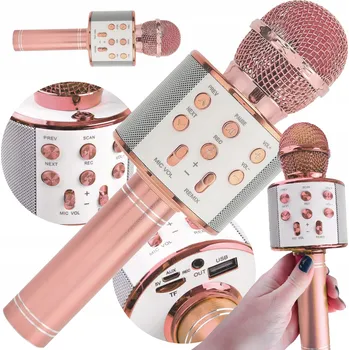 Mikrofon Mikrofon Lewer WS-858NM