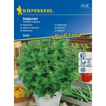 Semeno Majoránka zahradní, Kiepenkerl, semínka
