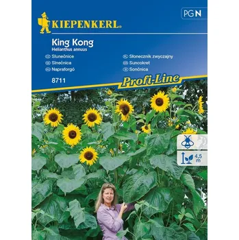 Semeno Slunečnice King Kong, Kiepenkerl, semínka