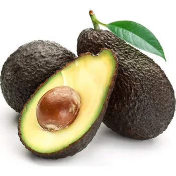 AVOKÁDO HASS Čerstvé ze Španělska, PŘÍRODNÍ, NEJLEPŠÍ MOŽNÉ KVALITY 1 KG