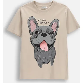 Chlapecké oblečení Coccodrillo dětské tričko béžové bavlna velikost 110