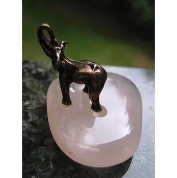 Růženín - slon na kameni