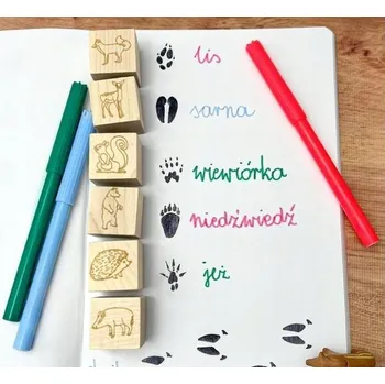 Obraz RAZÍTKA - Stopy zvířat v lese