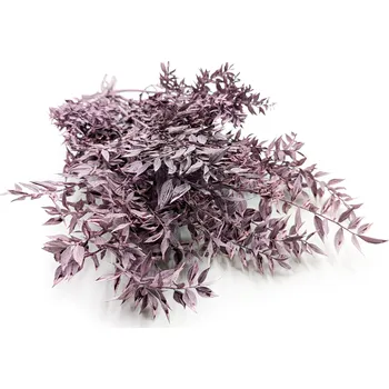 mech-mech.cz Stabilizovaný Ruskus - (Ruscus) - mátově fialový