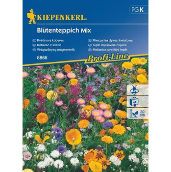 Semeno Směs Květinový koberec, Kiepenkerl