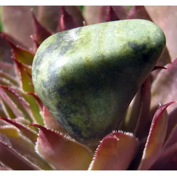 Nefrit - omletý kámen