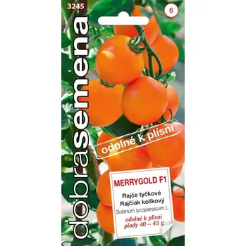 Semeno Dobrá semena Rajče tyč. - Merrygold F1 10s oranžové, odolné proti plísni