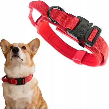 Obojek pro psa Obojek pro psa Bomevarica, velikost XL