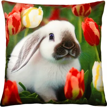 Polštář Dekorační polštář s motivem - ZAJÍČEK IV. 40x40 cm Mybesthome Varianta: Povlak na polštář, 40x40 cm