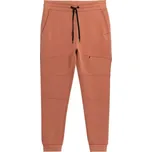 Kalhoty 4F M 4FSS23TTROM152 hnědé XL