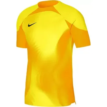 Pánské tričko Pánské brankářské tričko Dri-FIT ADV Gardien 4 M DH7760-719 - Nike XXL (193 cm)