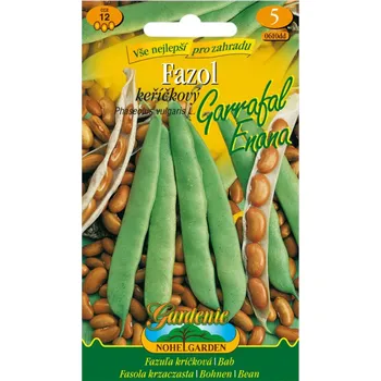Pěstitelství Fazol keříčkový GARRAFAL ENANA, zelený - NOHEL GARDEN