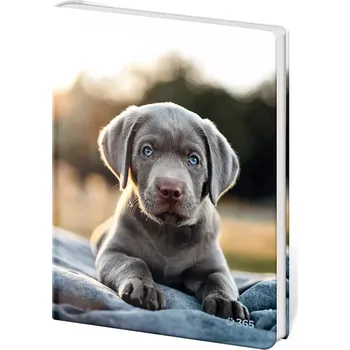 Zápisník Památník A5 13 x 18 cm čistý Pup