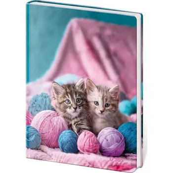 Zápisník Památník A5 13 x 18 cm čistý Babes