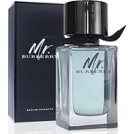 Burberry Mr. Burberry toaletní voda pro muže 100 ml