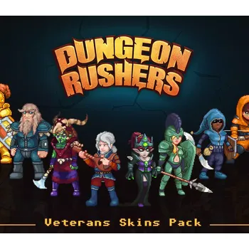 Počítačová hra Dungeon Rushers - Veterans Skins Pack DLC