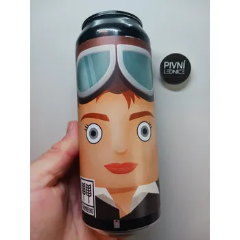 Pivo Twinberg Amelia 14°/6,4% 0,5l