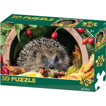 Puzzle PUZZLE 3D Ježek 31x23cm 100 dílků skládačka v krabici