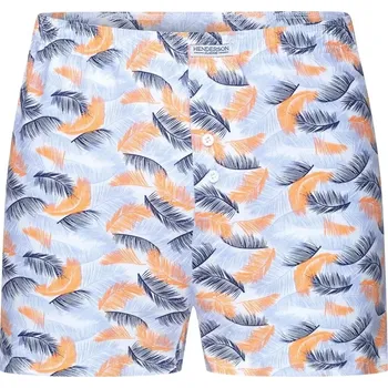 Pánská móda Pánské trenýrky 1442 Jotun K317 plus - HENDERSON vícebarevná 4XL