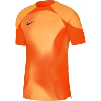 Pánské tričko Pánské brankářské tričko Dri-FIT ADV Gardien 4 M DH7760-819 - Nike XXL (193 cm)