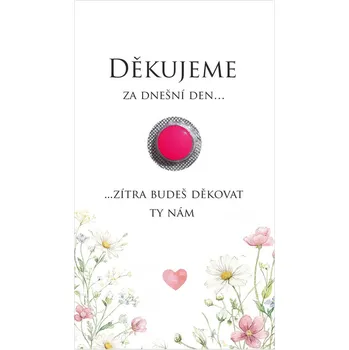 Krabička na výslužku Kartička na ibalgin 366