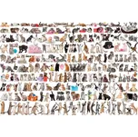 EUROGRAPHICS Puzzle Svět koček 2000 dílků