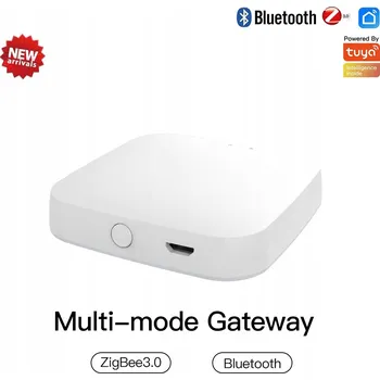 IP kamera Řídicí jednotka Moes Gateway