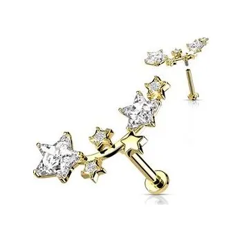 Piercing LB1100GD-1206 Zlacený piercing do brady - hvězdičky
