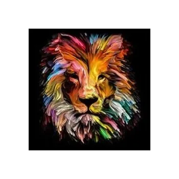 Obraz Diamantové Vyšívání Mozaika Diamond Painting Kreativní Sada