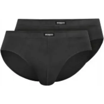 Slipy Pánské slipy 2P CLASSIC 1440-MAXI grafit 3xl