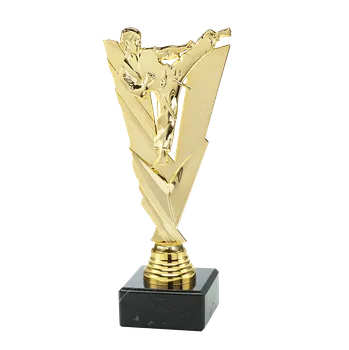 Plaketa zlatá - karate 21 cm