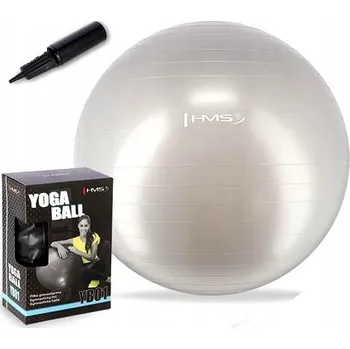 Gymnastický míč Gymnastický míč na sezení pro fitness a cvičení páteře 65 CM HMS s pumpičkou