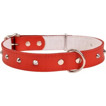 Obojek pro psa Kožený obojek pro psa Dino vel. L