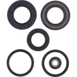 Centauro Gufera motoru sada Scarabeo 125-200 07-12 411A017SR