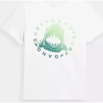 Dívčí tričko Chlapecké tričko 4FJSS23TTSHM283-10S - 4F 146