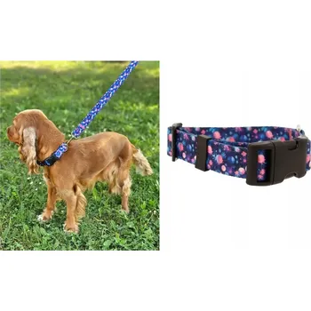 Obojek pro psa Obojek pro psa nastavitelný ruční výroby ASTROŚWIAT XS: 20-28 cm