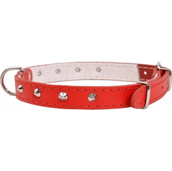 Obojek pro psa Kožený obojek pro psa Dino vel. L