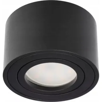 Stropní svítidlo přisazené Edo 15 W LED černé