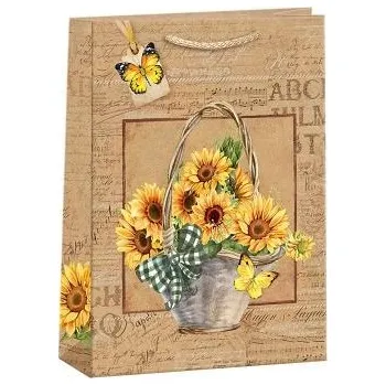 Dárková taška ARGUS Dárková papírová taška (23.3 x 31.3 cm) 07540152