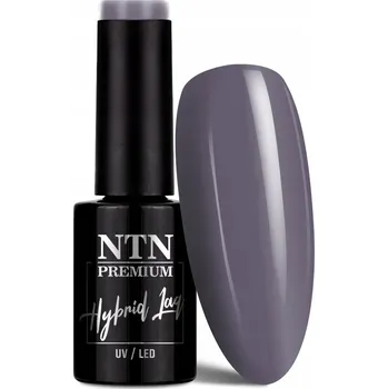Lak na nehty NTN Premium Hybridní Lak 5 ml - Kolekce After Midnight Č. 65