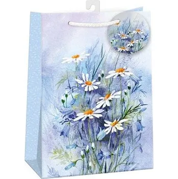 Dárková taška ARGUS Dárková papírová taška (34.5 x 48 cm) 07970815h