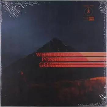Zahraniční hudba What Could Possibly Go Wrong Dominic Fike Vinylová Deska