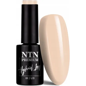 Lak na nehty NTN Premium Hybridní Lak 5 ml - Kolekce Day Dreaming Č. 61