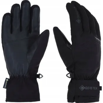 Rukavice Pánské lyžařské rukavice Viking REVO GTX 0900 vel. 9