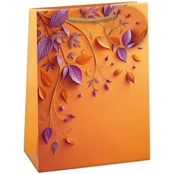 Dárková taška ARGUS Dárková papírová taška (23 x 32 cm) 07570810