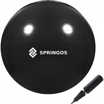 Gymnastický míč FB0013 gymnastický míč s pumpičkou 55 cm