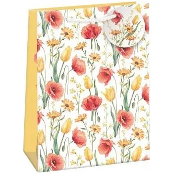 Dárková taška ARGUS Dárková papírová taška (23 x 32 cm) 07570814