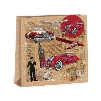 Dárková taška ARGUS Dárková papírová taška (24 x 24 cm) 07400005