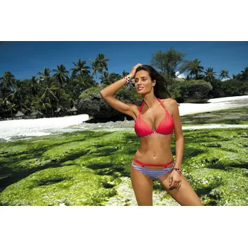 Dámské plavky Plavky Brenda Carnaby M-403 (11) - Marko XXL/L