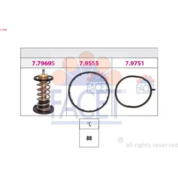 Těsnění motoru Termostat, chladivo FACET 7.7988